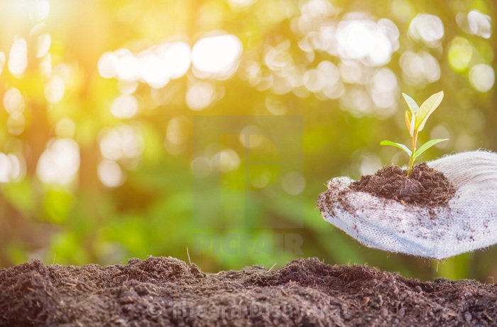 af3tplmuedmw0b6ealgx