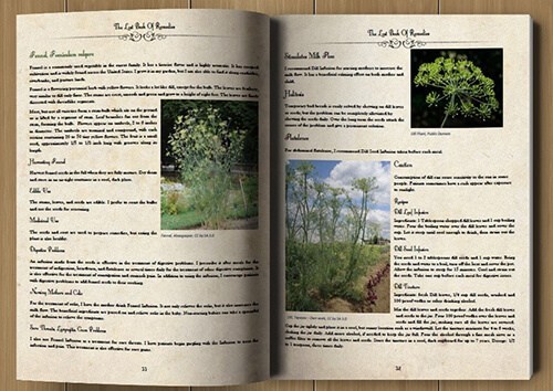lost-book-of-remedies-pages